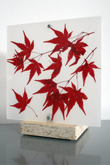 Flora Baby Acero - Lampada da tavolo