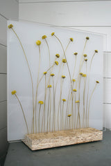 Inflora - Lampada da tavolo