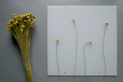 Flora Kit - Lampada da tavolo