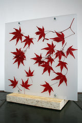 Flora Acero - Lampada da tavolo