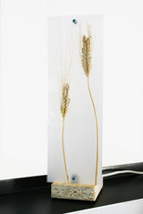 Flora Baby Grano - Lampada da tavolo