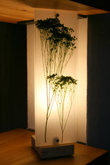 Flora Baby Broom Bloom - Lampada da tavolo