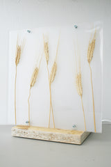 Flora Grano - Lampada da tavolo