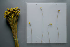 Flora Kit - Lampada da tavolo