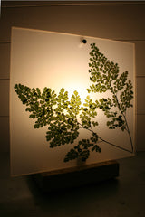 Flora Baby Venus - Lampada da tavolo