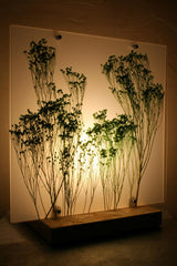 Flora Broom Bloom - Lampada da tavolo