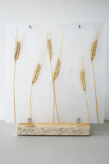 Flora Grano - Lampada da tavolo