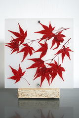 Flora Baby Acero - Lampada da tavolo