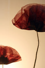 Flora Poppy - Applique