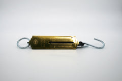 Pesola - Bilancia portatile