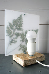 Flora Baby Venus - Lampada da tavolo